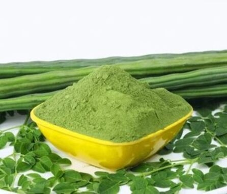 Shevga / Drumstick Leave (Moringa) Powder